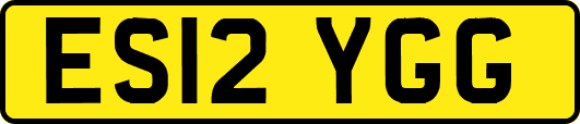 ES12YGG