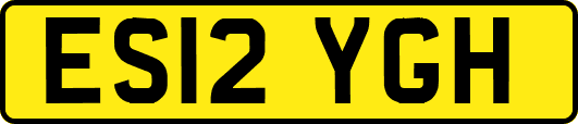 ES12YGH