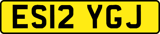 ES12YGJ