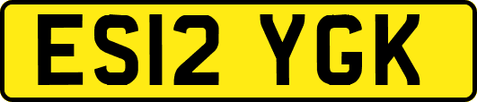 ES12YGK