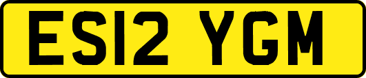 ES12YGM