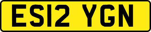 ES12YGN
