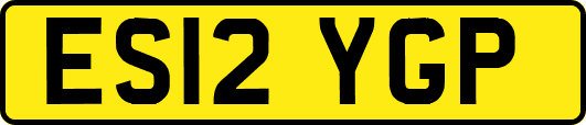 ES12YGP