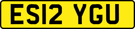 ES12YGU