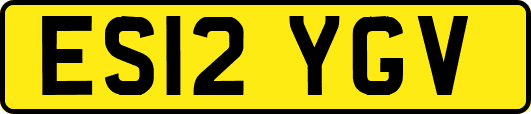 ES12YGV