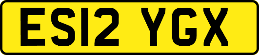 ES12YGX