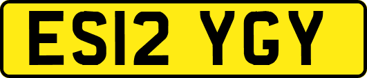 ES12YGY