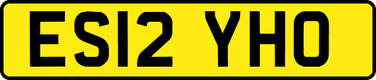 ES12YHO