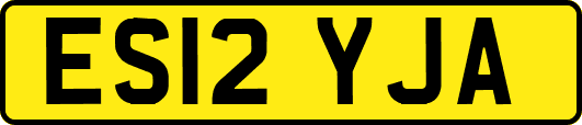 ES12YJA