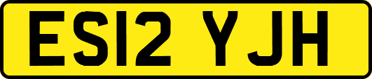 ES12YJH