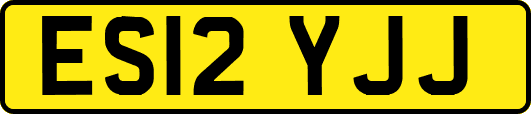 ES12YJJ