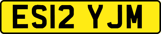 ES12YJM