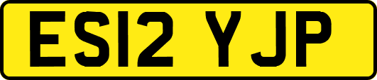 ES12YJP