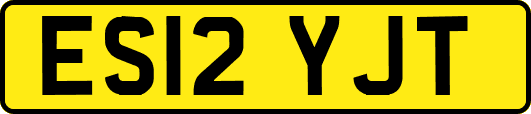 ES12YJT
