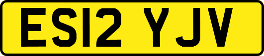 ES12YJV