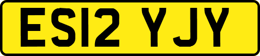 ES12YJY