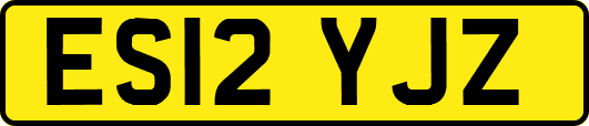 ES12YJZ