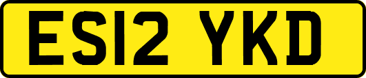 ES12YKD