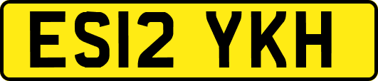 ES12YKH