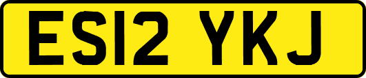 ES12YKJ