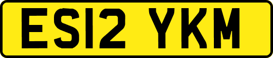 ES12YKM