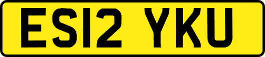 ES12YKU