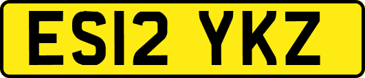 ES12YKZ
