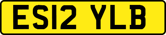 ES12YLB