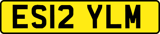 ES12YLM