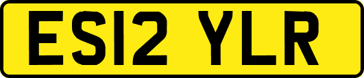 ES12YLR