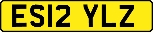 ES12YLZ