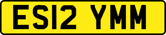 ES12YMM
