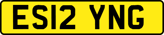 ES12YNG