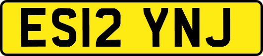 ES12YNJ