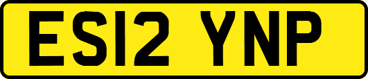 ES12YNP
