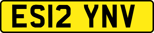 ES12YNV