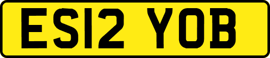ES12YOB