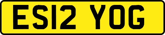 ES12YOG