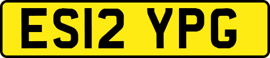 ES12YPG