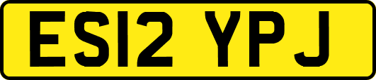 ES12YPJ