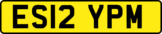 ES12YPM