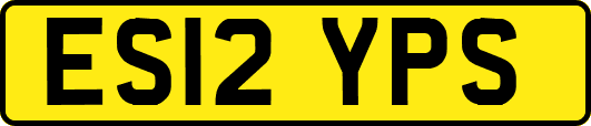ES12YPS