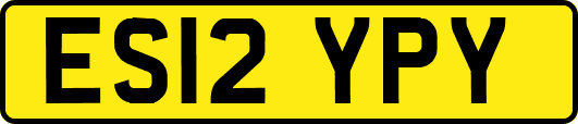 ES12YPY