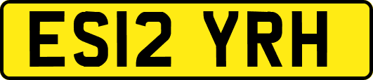 ES12YRH