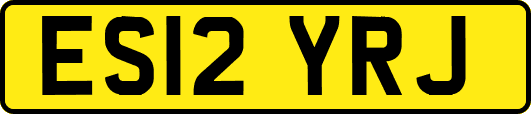 ES12YRJ