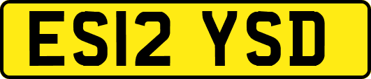 ES12YSD
