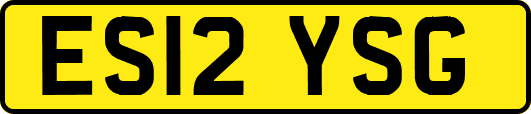 ES12YSG