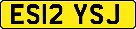 ES12YSJ