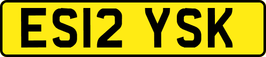 ES12YSK