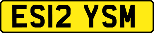ES12YSM